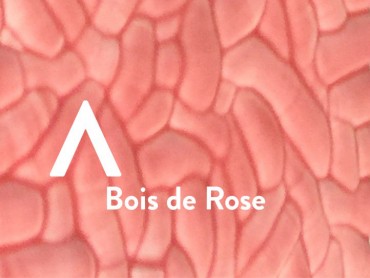 Vd Blog Color 2016 Entete Drr2 722x1024